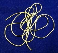 French Wire - Gold